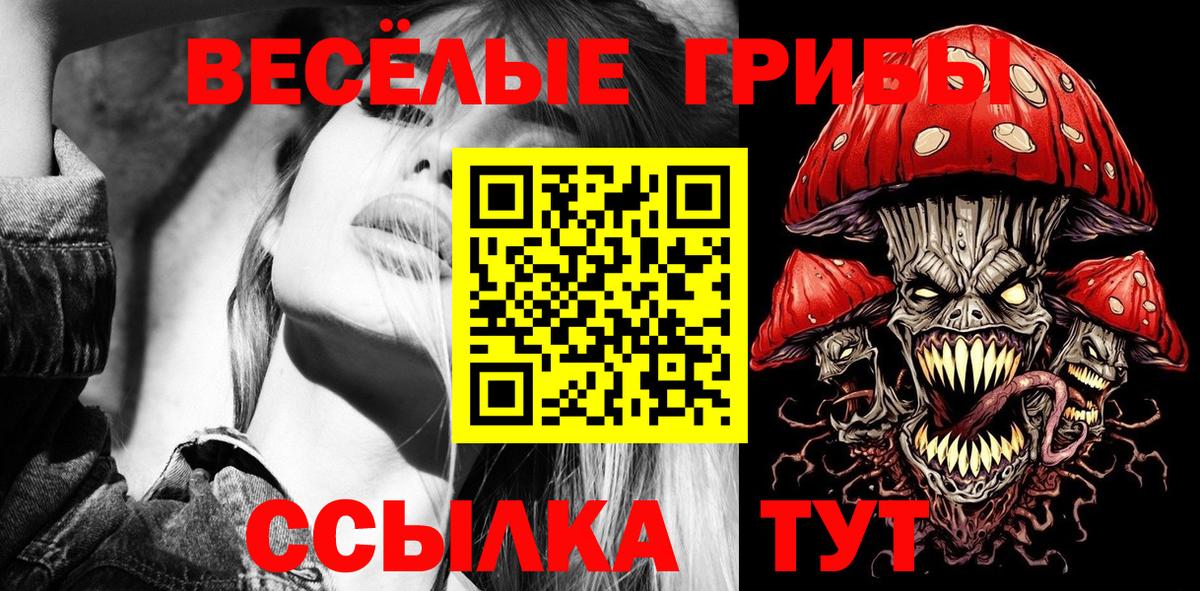 Верхняя Пышма  Галлюциногенные грибы Cubensis  Вход с VPN 