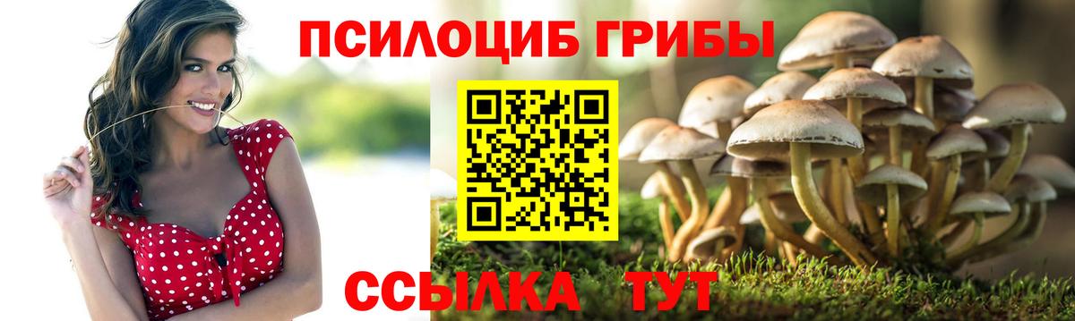 ГАШ  Верхняя Пышма  Марихуана  КЕТАМИН  НБОМе  Меф   Вход с VPN  КОКАИН  MDMA  Канабис 